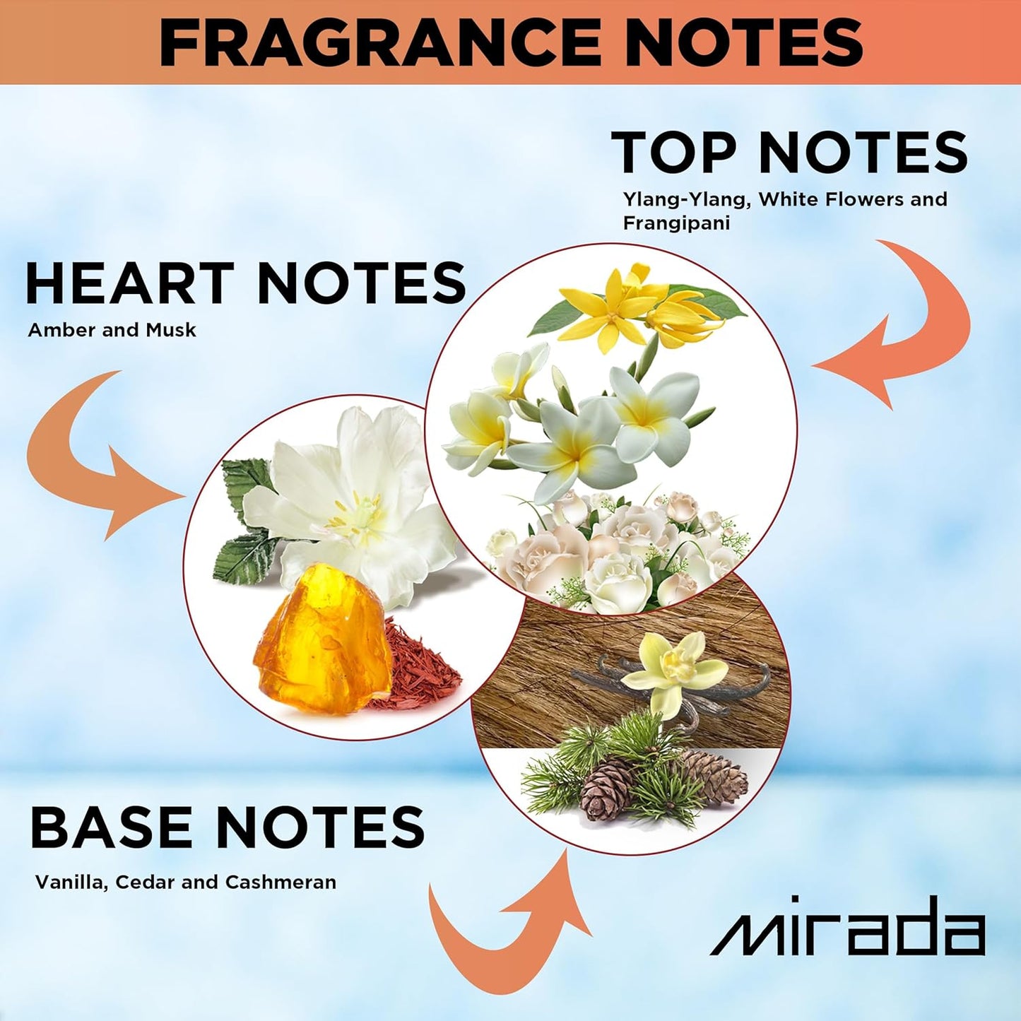 MIRADA Verato Amber, Women's Eau de Parfum (EDP) 3.4 FL. Oz (100ml), Women’s Perfume with Notes of Ylang-Ylang, White Flowers, Frangipani, Amber, Musk, Vanilla, Cedar, Cashmeran